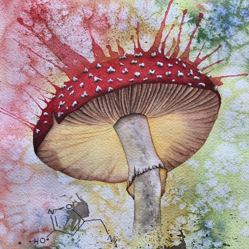 Fly agaric mushroom painted in watercolour